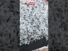 कारखाने की नाखून ब्रश